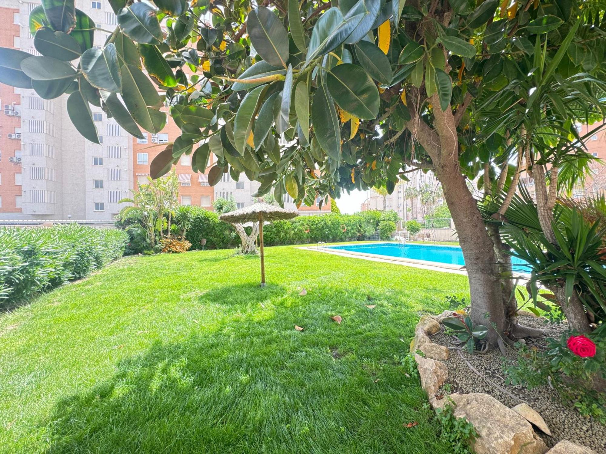 Estudio Con Piscina Alicante Exterior foto